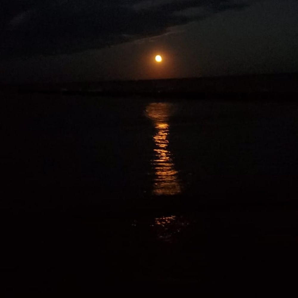 Meet your Posher, Judy